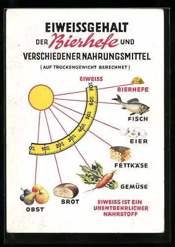 AK Eiweissgehalt der Bierhefe und versch. Nahrungsmittel