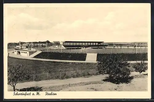 AK Schweinfurt am Main, Blick auf das Stadion