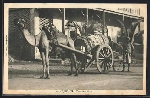 AK Djibouti, marchand d`eau d`Ambouli, Kamel