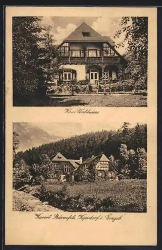 AK Kipsdorf i. Erzgeb., Bärenfels, Hotel Haus Waldwiese, Ortspartie