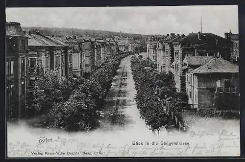 AK Erfurt, Steigerstrasse mit Bäumen