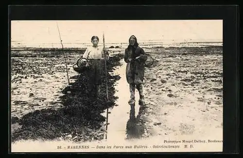 AK Marennes, Dans les Parcs aux Huîtres, Ostreiculteuses