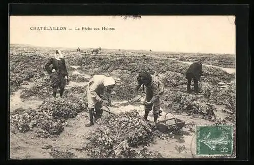 AK Chatelaillon, La Pêche aux Huîtres