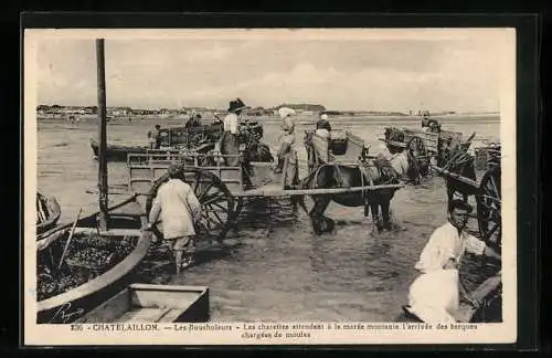 AK Chatelaillon, Les Boucholeurs, Les charettes attendant à la marée montante l`arrivée des barques chargées de moules