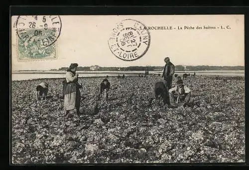 AK Rochelle, La Pêche des huîtres