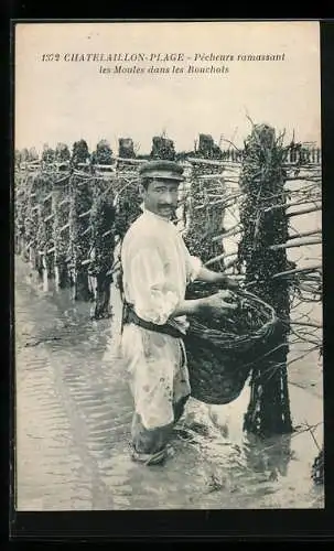 AK Fouras, Pêcheur ramassant les moules dans les Bouchots, Muschelfischer