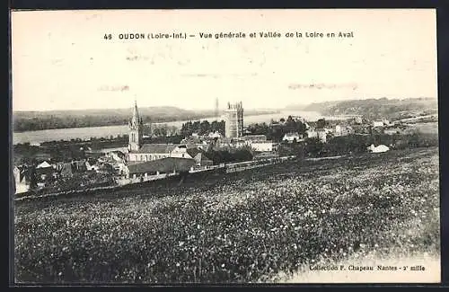 AK Oudon /Loire-Inf., Vue générale et Vallée de la Loire en Aval