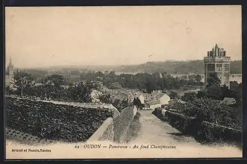 AK Oudon, Panorama, Au fond Champtoceaux