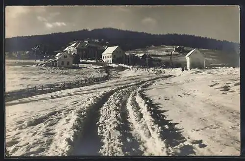 AK Mönichkirchen, Blick auf die Häuser im Schnee