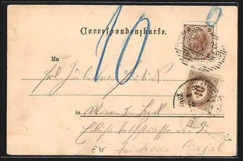 Lithographie Attersee, Hotel Attersee und Dependance, Ortsansicht