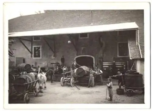 Fotografie unbekannter Fotograf und Ort, Weinbauern beim Keltern der Trauben, Kelterbottiche, Spindelkelter