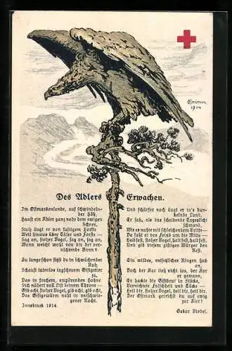 AK Des Adlers Erwachen, Rotes Kreuz, Propaganda 1. Weltkrieg