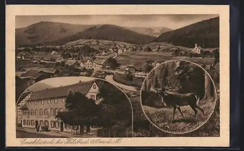 AK Enzklösterle bei Wildbad, Gasthaus und Pension zum Hirsch, Panorama