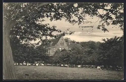 AK Hannover, Waldgasthaus Kirchrödelturm C. Luckwaldt