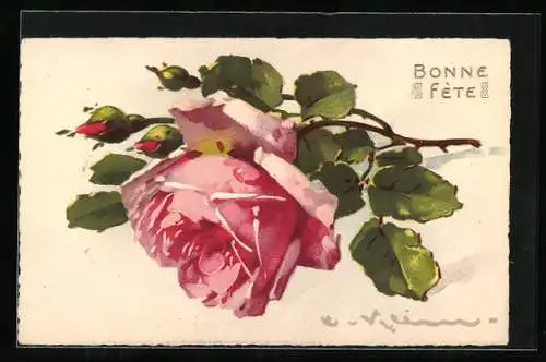 Künstler-AK Catharina Klein: Rose mit Knospen und Blättern