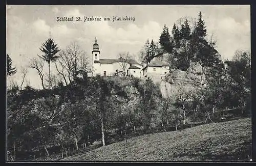 AK St. Pankraz, Schlössl St. Pankraz am Haunsberg