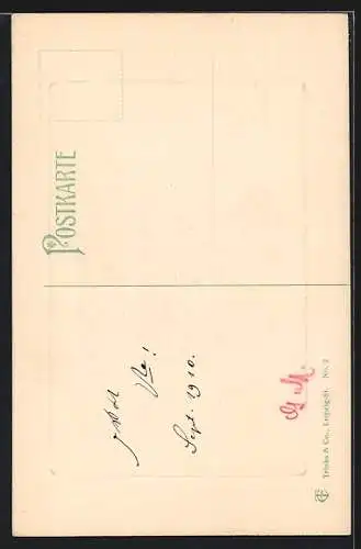 AK Innsbruck, Die Herzog-Friedrich-Strasse