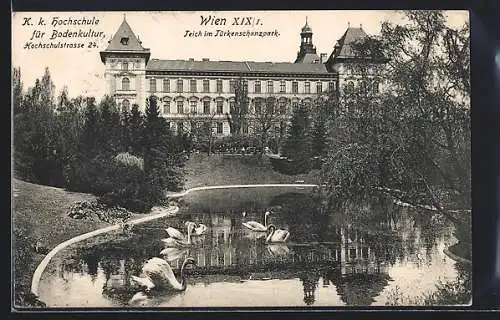 AK Wien, K. k. Hochschule für Bodenkultur, Hochschulstrasse 24, Teich im Türkenschanzpark