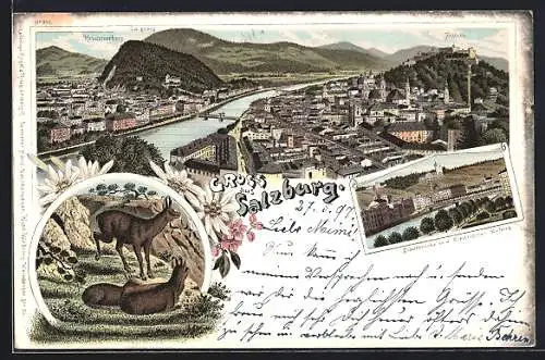 Lithographie Salzburg, Stadtbrücke mit elektrischem Aufzug, Bergziegen, Totalansicht mit Bergen