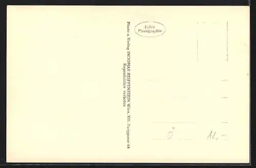 AK Wien, Grinzing, Gasthaus Grinzinger Schnapper mit Strassenpartie