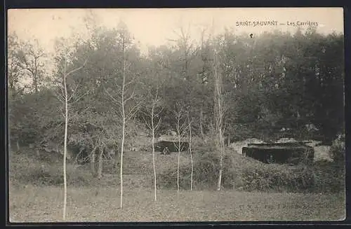 AK Saint-Sauvant, Les Carrières et paysage boisé