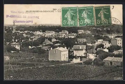 AK Saint-Georges-de-Didonne, Vue générale du village avec vignobles au premier plan