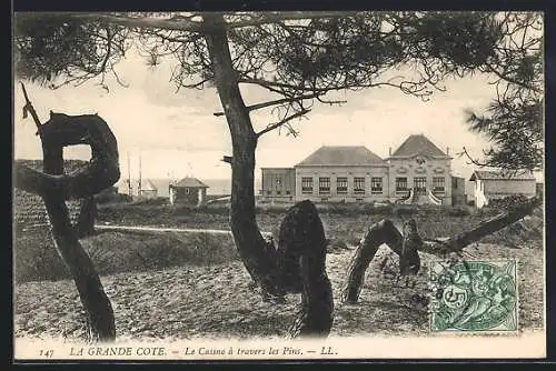 AK La Grande Côte, Le Casino à travers les Pins