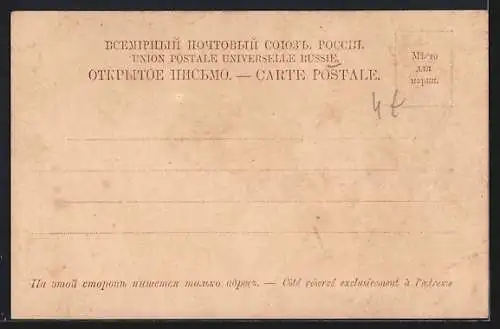 AK Peterhof, Le Palais