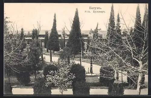 AK Batumi, Boulevard mit Bäumen und Spazierwegen