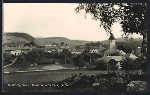 AK Dimbach bei Grein, Ortsansicht mit Kirche