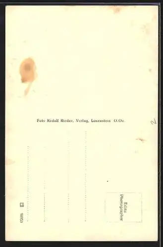 AK Ternberg, Teilansicht aus der Vogelschau