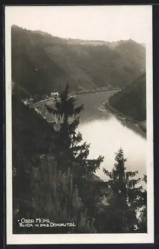 AK Kirchberg ob der Donau, Obermühl, Blick in das Donautal