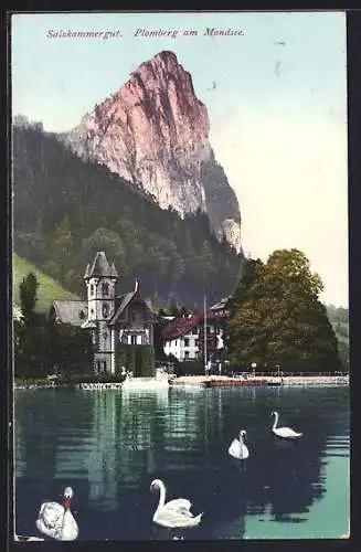 AK Plomberg am Mondsee, Ortsansicht, Teich mit Schwäne