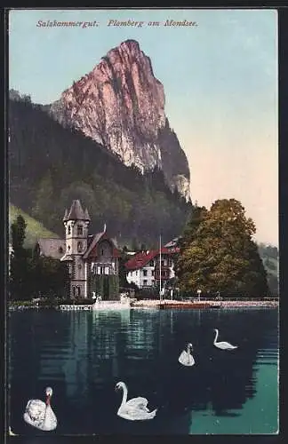 AK Plomberg am Mondsee, Ortsansicht, Teich mit Schwäne