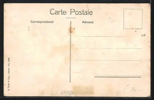 Lithographie Monte Carlo, Hotel d`Albion et du Littoral