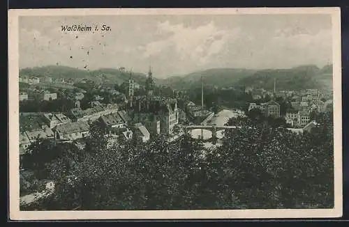 AK Waldheim i. Sa., Ortsansicht aus der Vogelschau