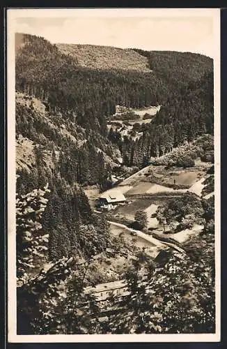 AK Vortal-Wittichen im bad. Schwarzwald, Totalansicht von einen Berg aus