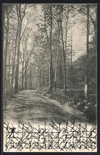 AK Hof i. Bayern, Partie am Theresienstein