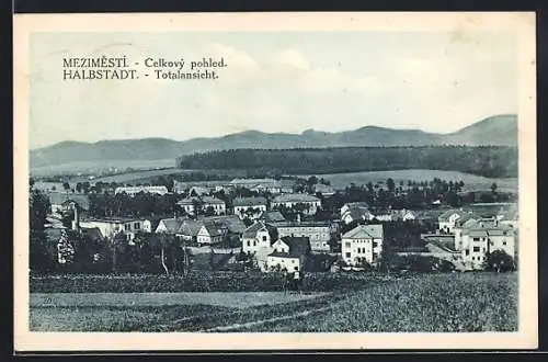 AK Halbstadt, Totalansicht aus der Vogelschau