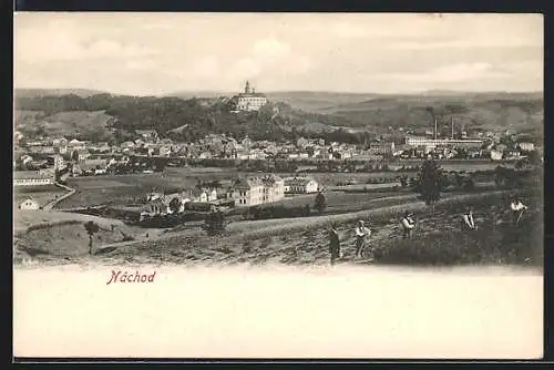 AK Nachod, Panorama mit Schloss und Acker