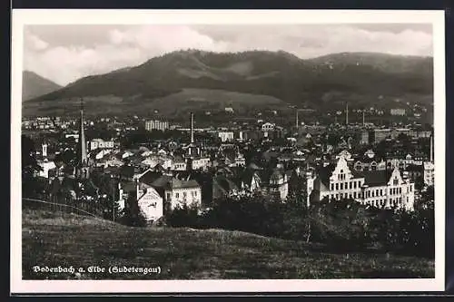 AK Bodenbach a. Elbe, Totalansicht von einen Berg aus