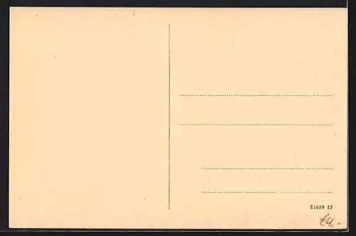 AK Tetschen-Bodenbach / Decin, Rosarium im Schlossgarten