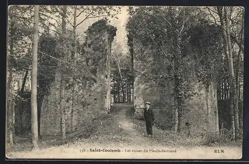 AK Saint-Coulomb, Les ruines du Plessis-Bertrand