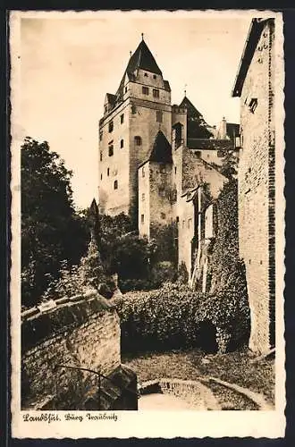 AK Landshut, Burg Traubnitz