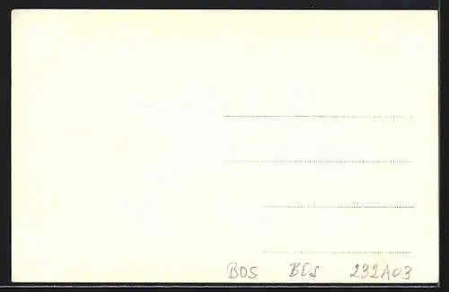AK Trebinje, Strassenpartie mit Platz und Bergblick