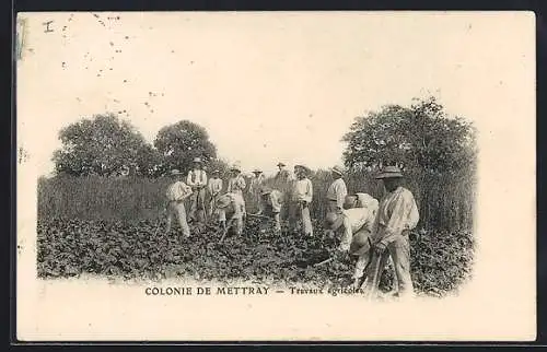 AK Mettray /I.-et-L., Colonie de Mettray, Travaux agricoles