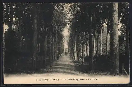 AK Mettray /I.-et-L., La Colonie Agricole, L`Avenue