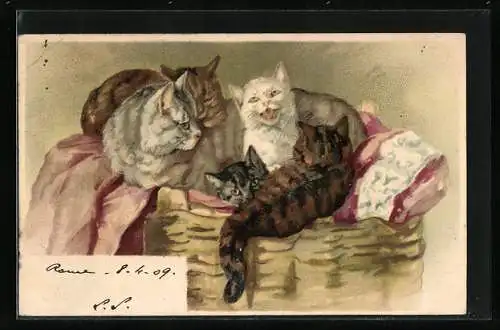 Lithographie Katzenmutter mit Jungen auf einem Wäschekorb