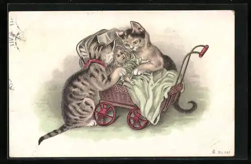 Lithographie Zwei Katzen beugen sich über eine Puppe im Puppenwagen