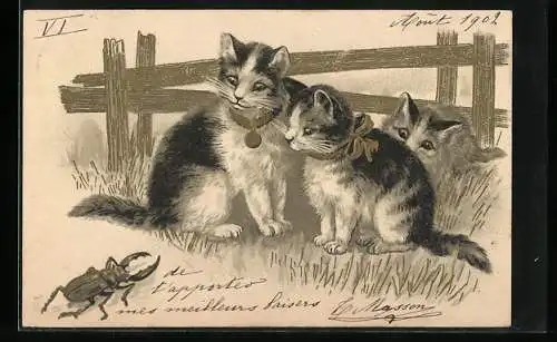 Lithographie Drei kleine Katzen und ein Hirschkäfer